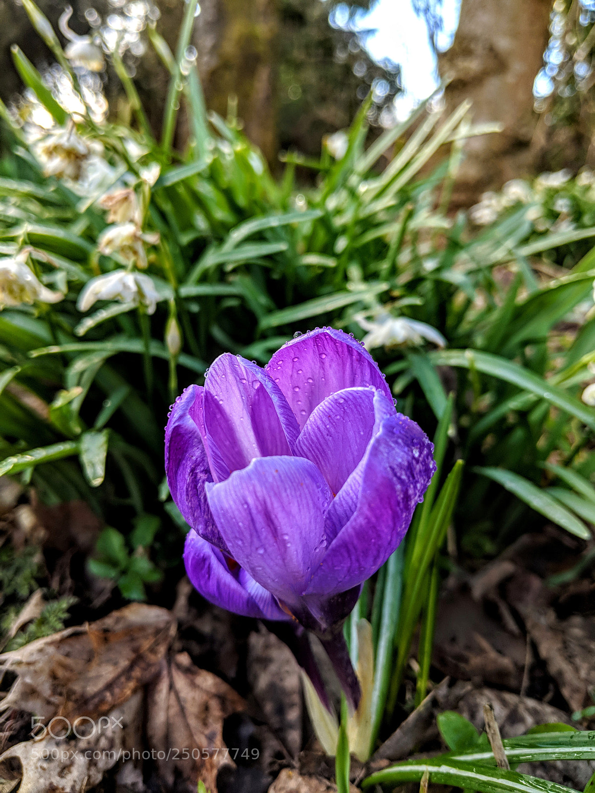 Google Pixel 2 sample photo. Untitled photography