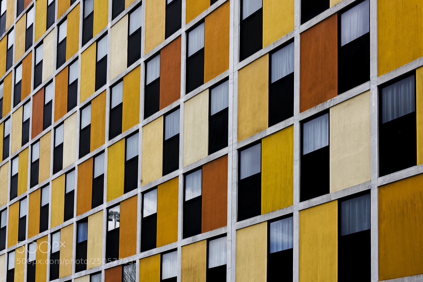 Nikon D810 sample photo. Everybody likes orange photography