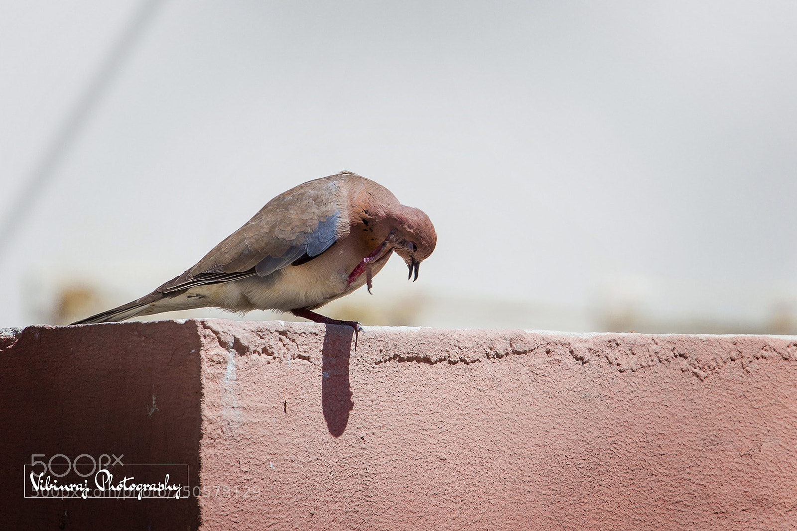 Canon EOS 80D sample photo. Untitled photography