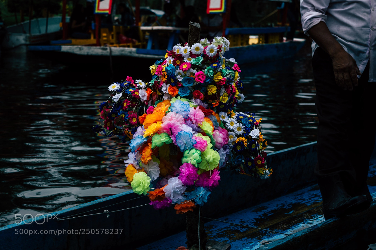 Nikon D3200 sample photo. Flores de xochimilco photography