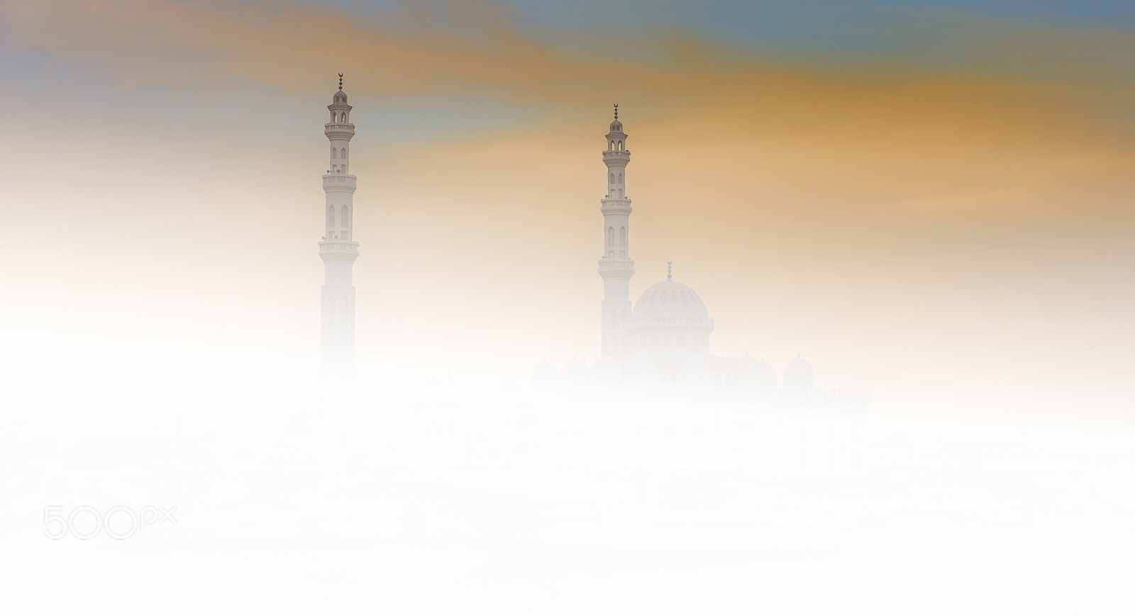 Nikon D610 sample photo. Fog and city photography