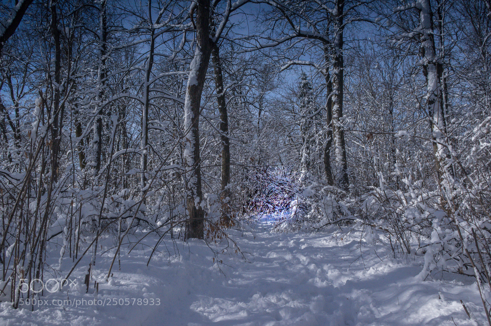 Pentax K-3 II sample photo. Trail of st. vital photography