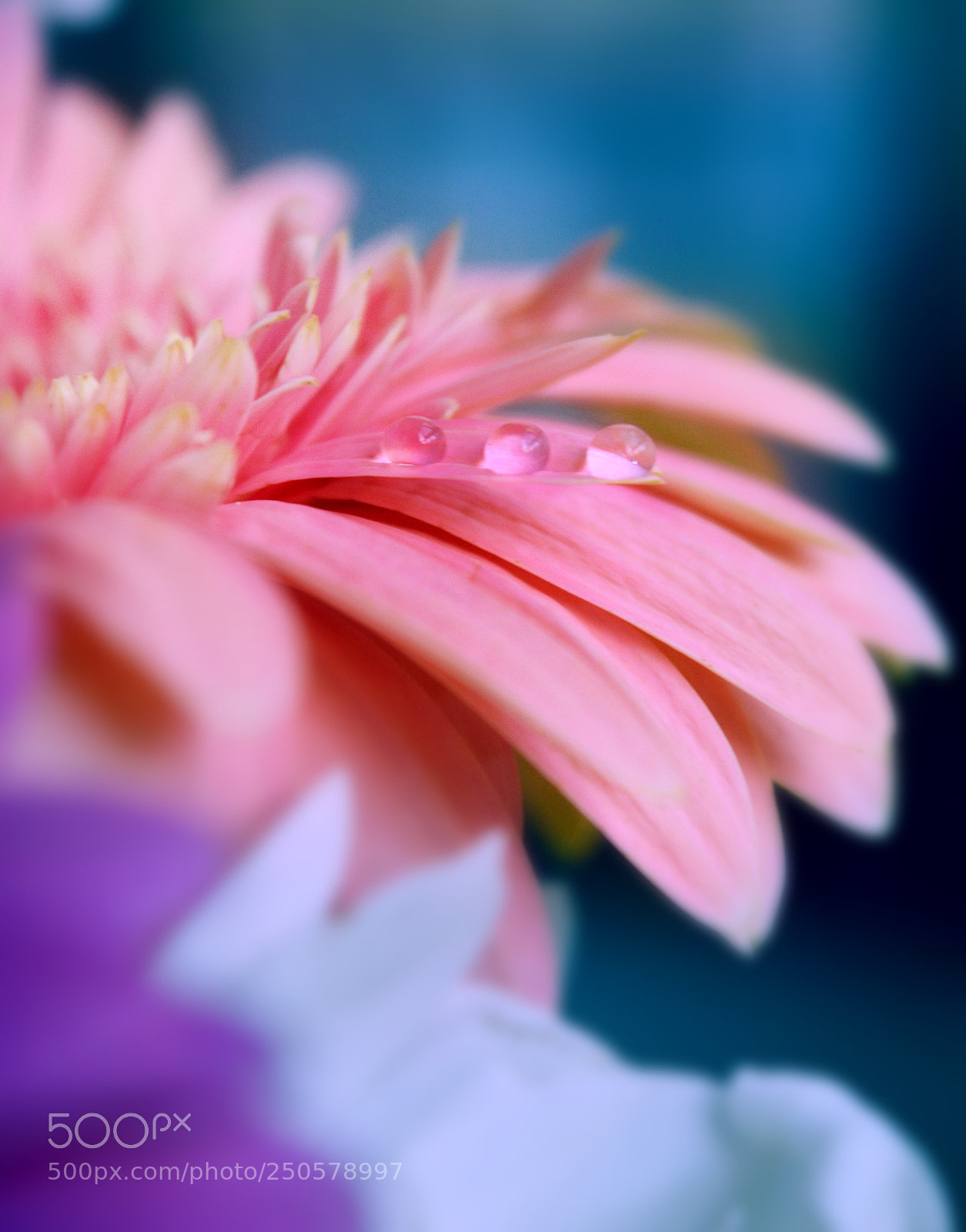 Nikon D3200 sample photo. Drop photography