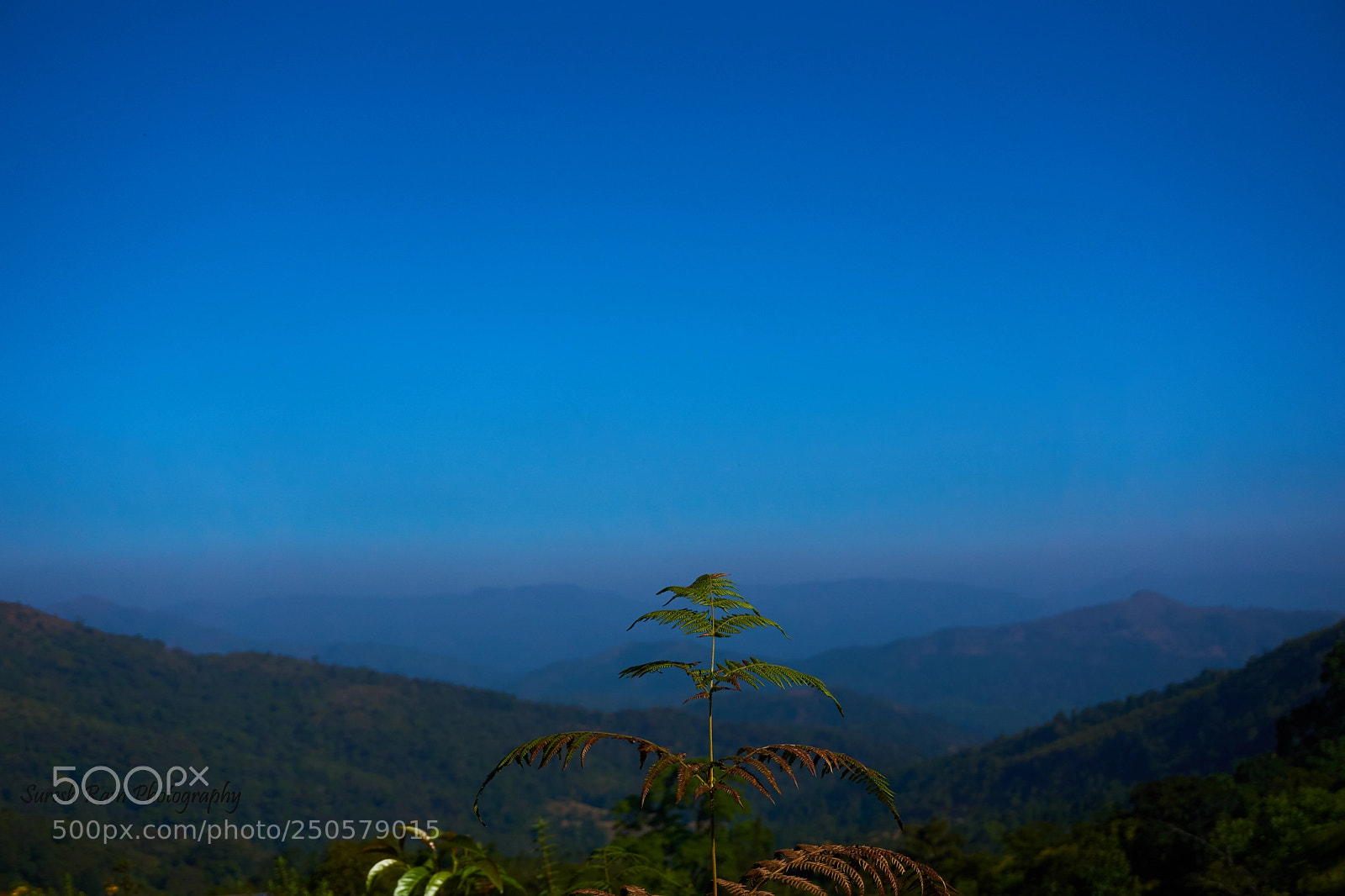 Sony a6000 sample photo. [] photography
