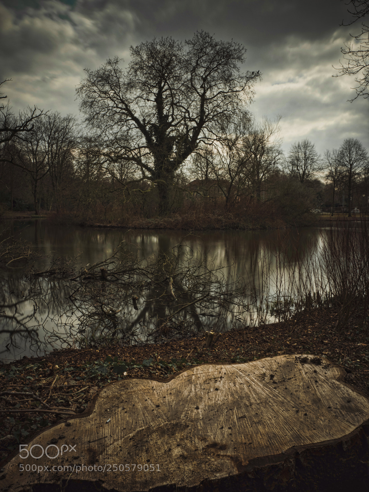 Olympus OM-D E-M1 Mark II sample photo. Pond photography