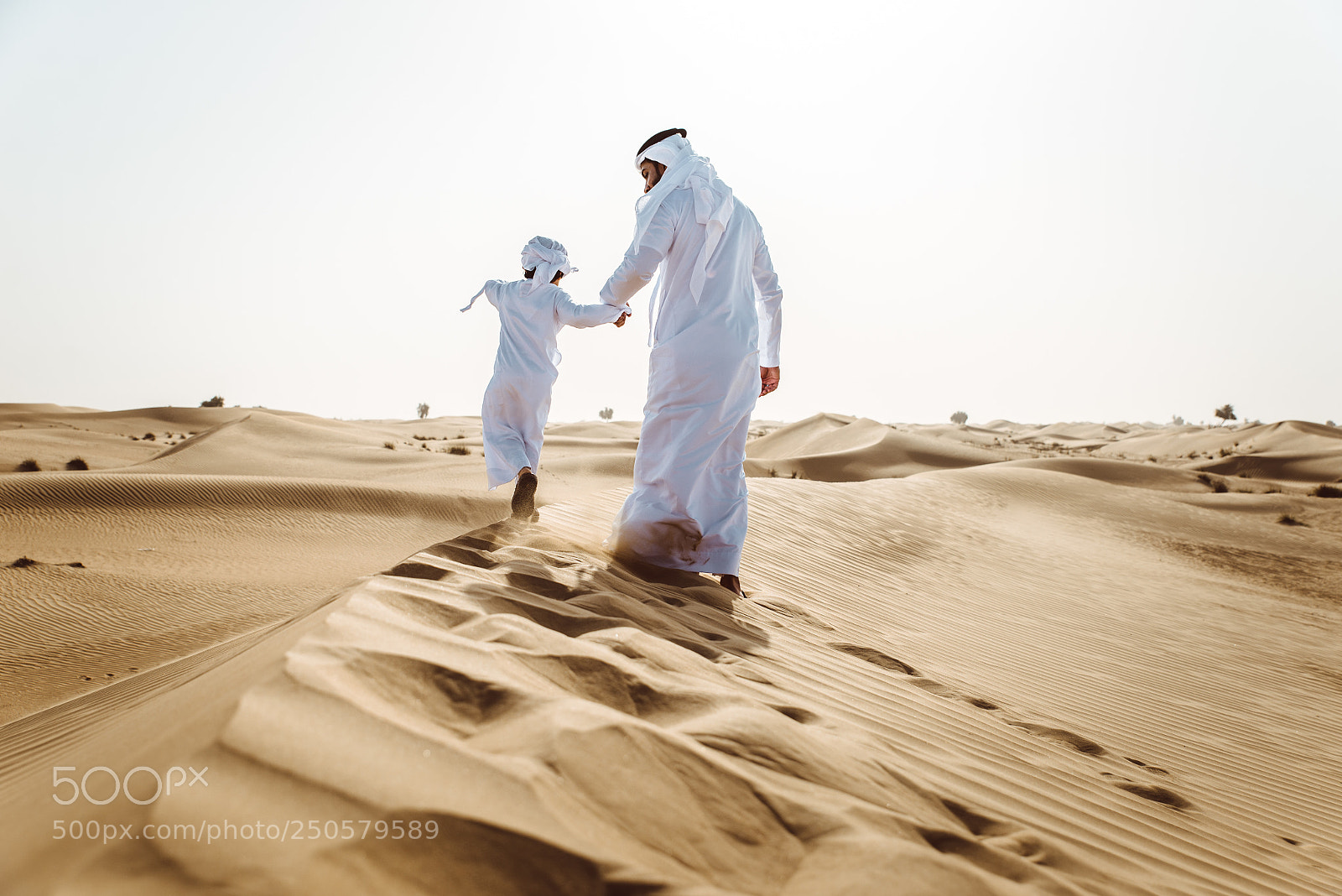 Nikon D610 sample photo. Father and son spending photography