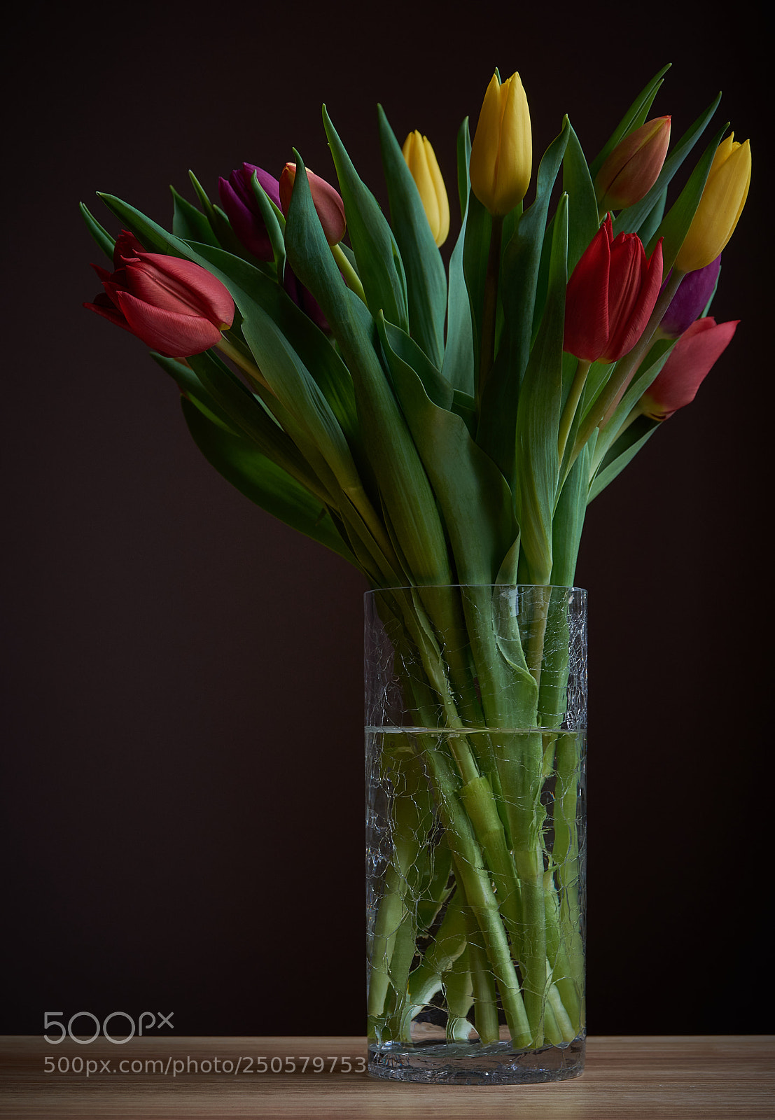 Nikon D7200 sample photo. Tulips - colours of photography