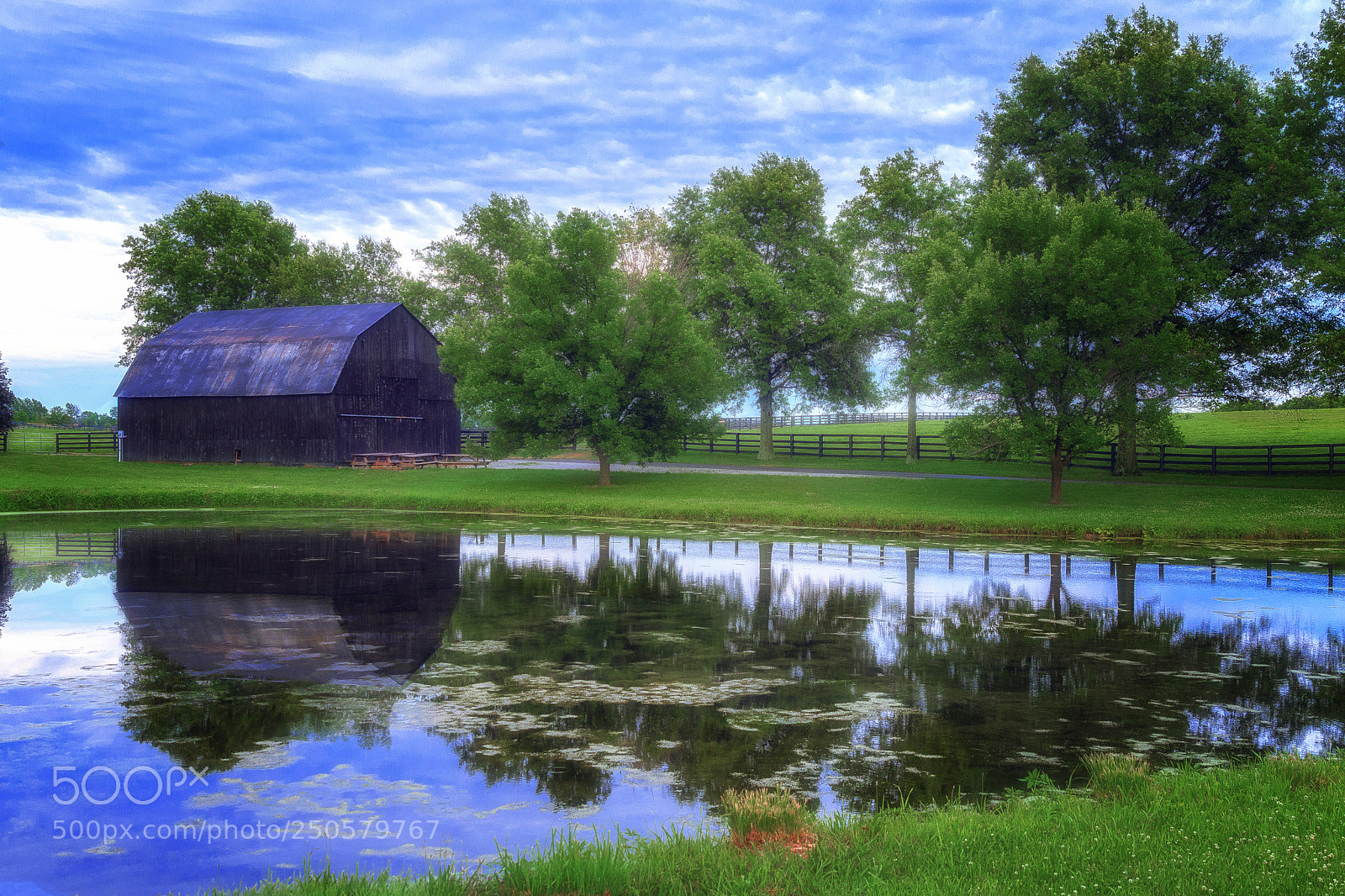 Canon EOS 7D Mark II sample photo. Bluegrass state photography