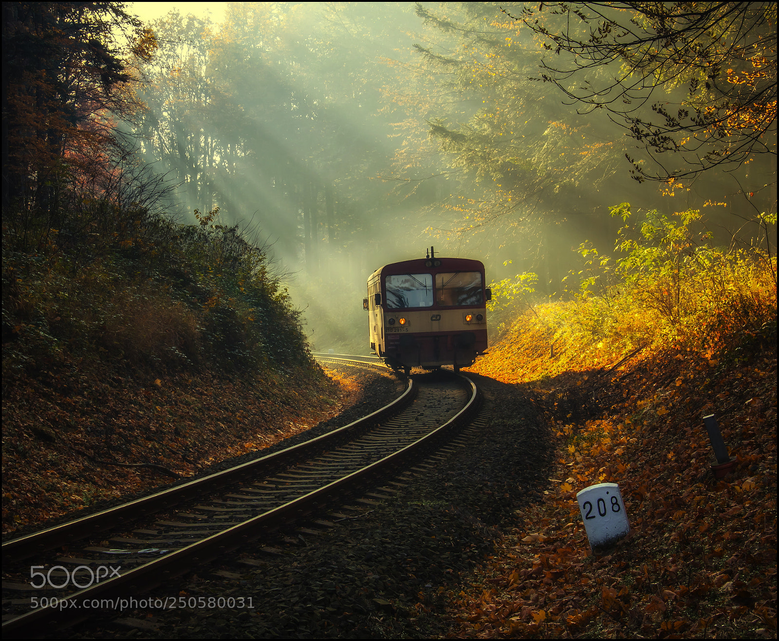Canon EOS 500D (EOS Rebel T1i / EOS Kiss X3) sample photo. Little train photography