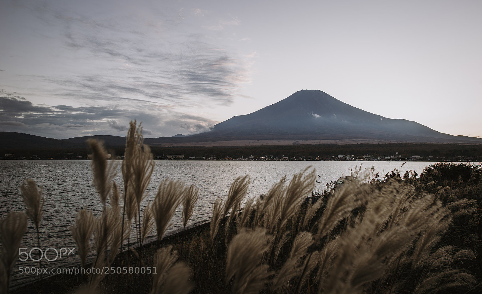 Nikon D610 sample photo. Fuji mountain view. the photography