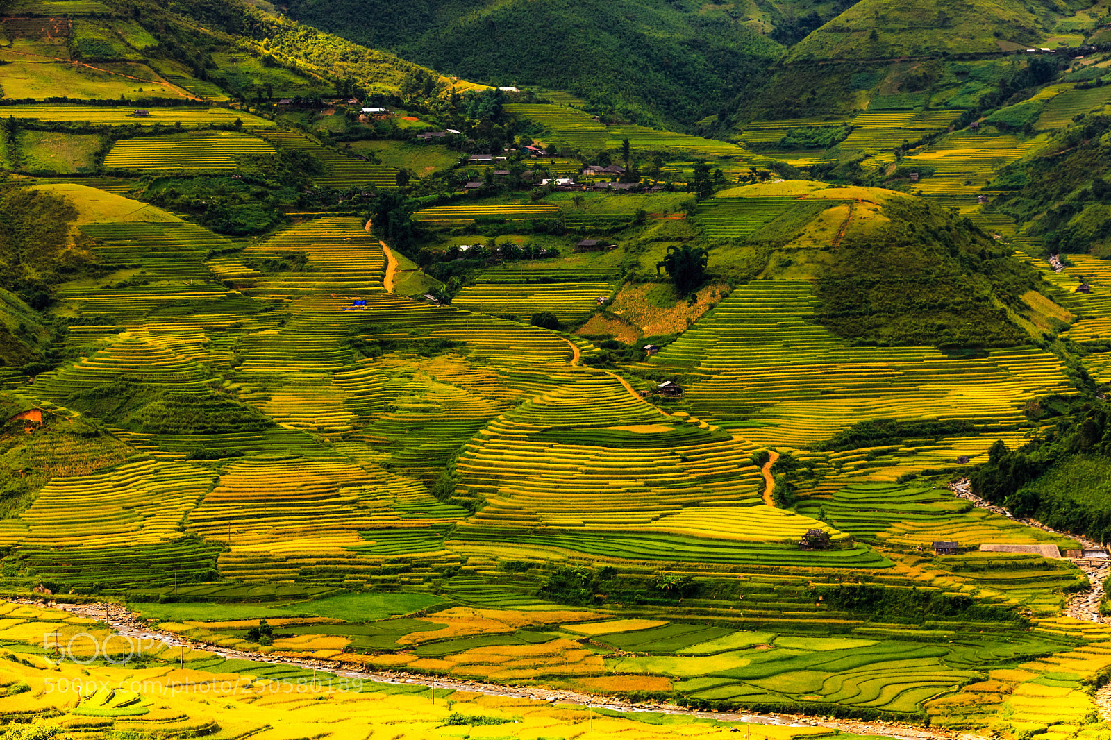 Canon EOS-1Ds Mark III sample photo. Mu cang chai photography