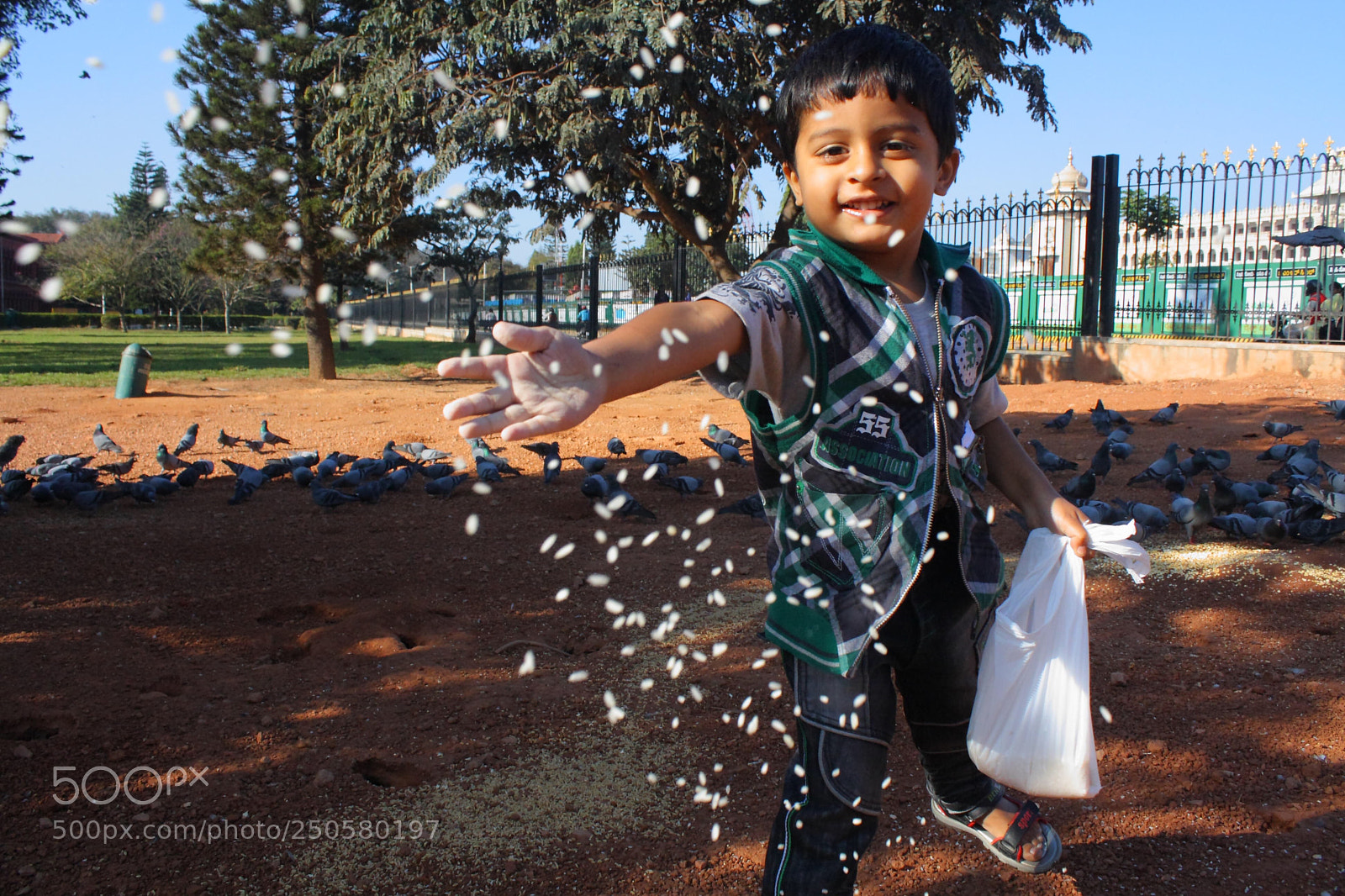 Canon EOS 1000D (EOS Digital Rebel XS / EOS Kiss F) sample photo. Celebrating life! photography