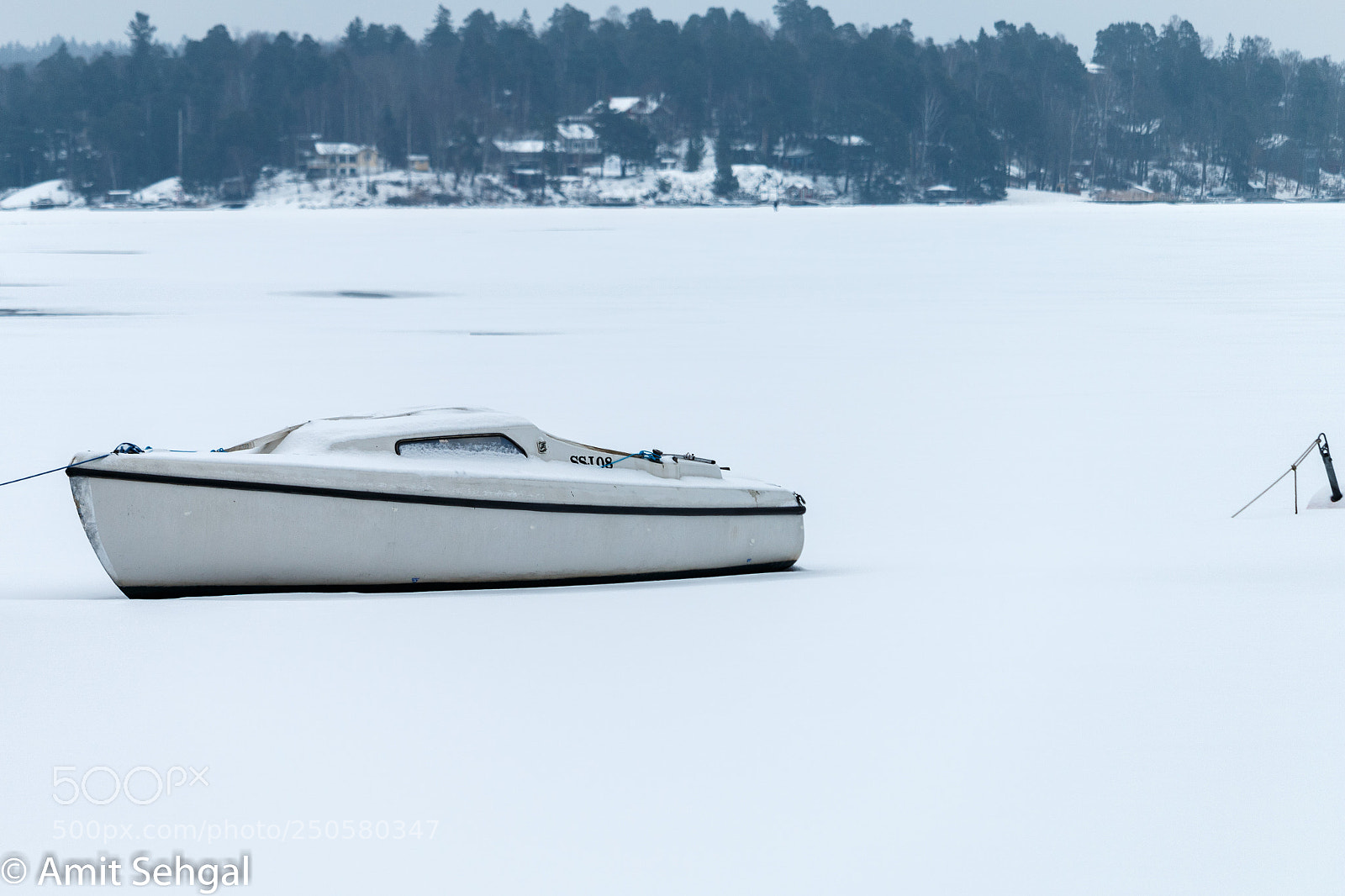 Canon EOS 70D sample photo. Winter white photography