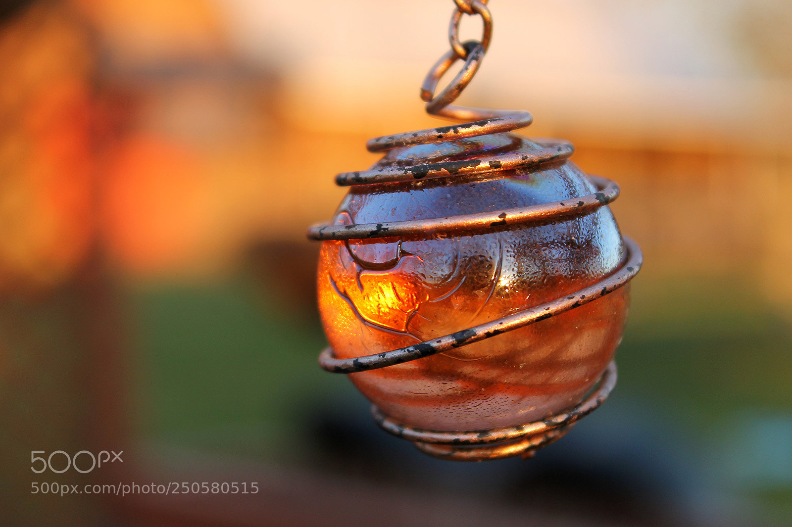 Canon EOS 1100D (EOS Rebel T3 / EOS Kiss X50) sample photo. Glowing orb photography