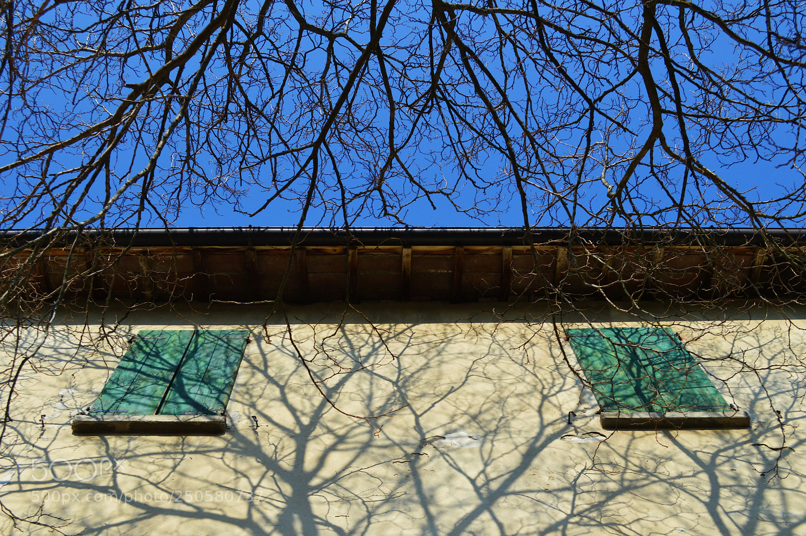 Nikon D3200 sample photo. Estensioni photography