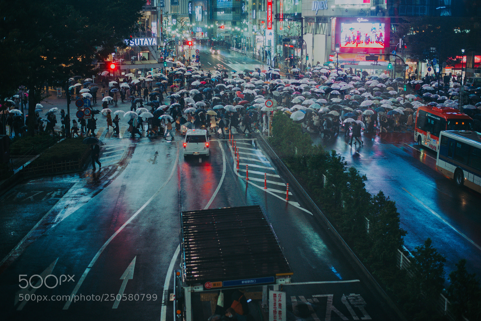 Nikon D610 sample photo. Tokyo, japan -october 20 photography
