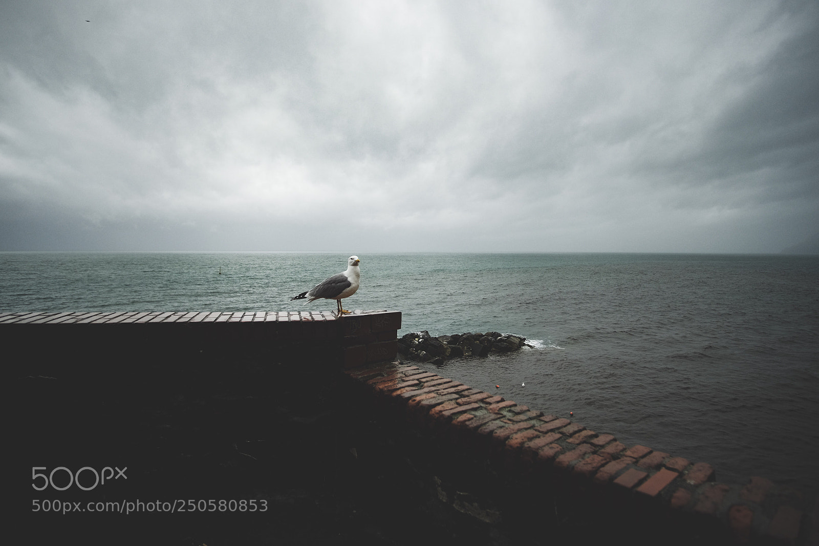 Fujifilm X-T10 sample photo. Peace photography