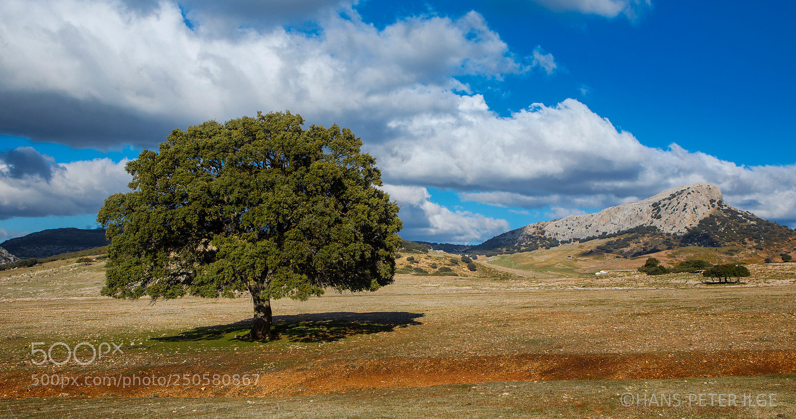 Canon EOS 5D Mark IV sample photo. Wonderful andalucia photography