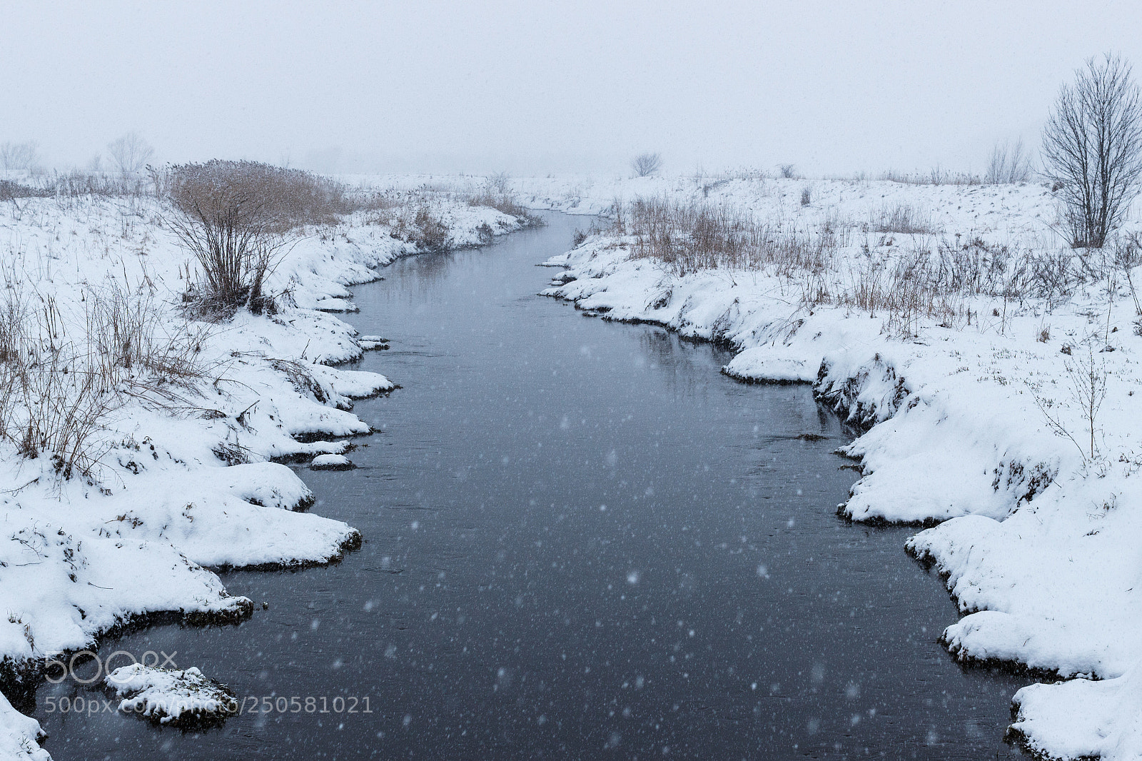 Canon EOS 100D (EOS Rebel SL1 / EOS Kiss X7) sample photo. Snow-covered photography
