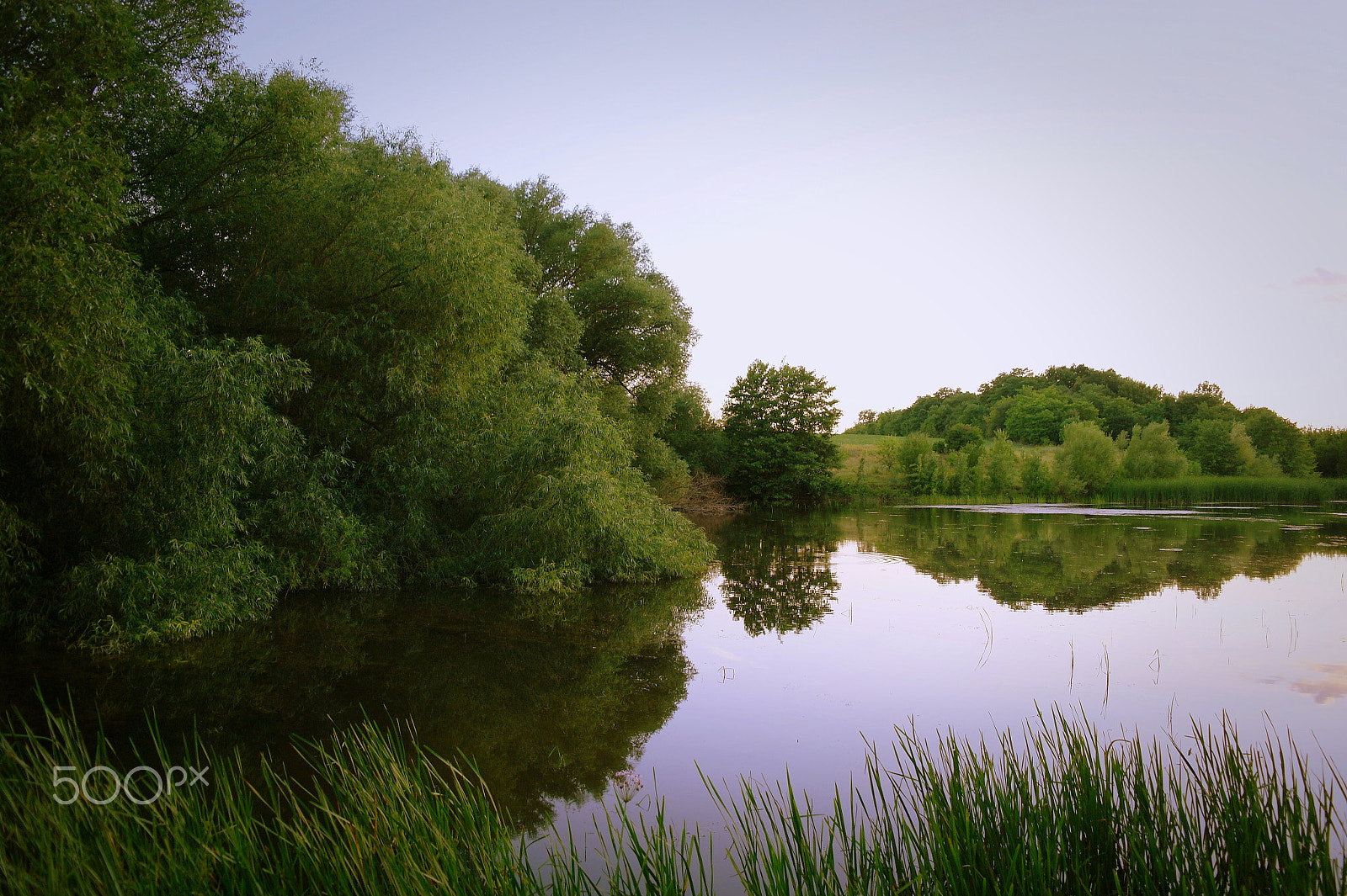 Samsung NX5 sample photo. Pond photography