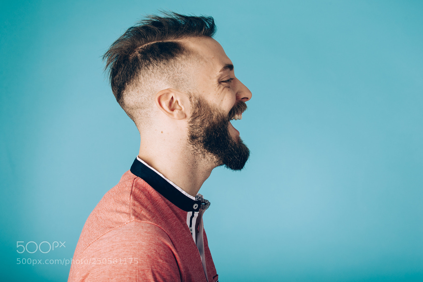 Nikon D610 sample photo. Hipster man on studio photography