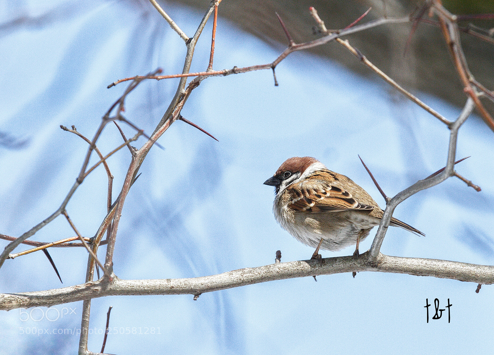 Canon EOS 7D sample photo. Untitled photography