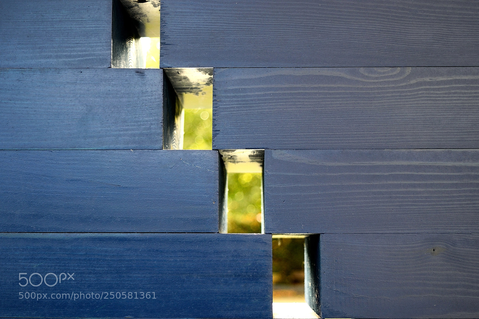Nikon D3300 sample photo. Freedom photography