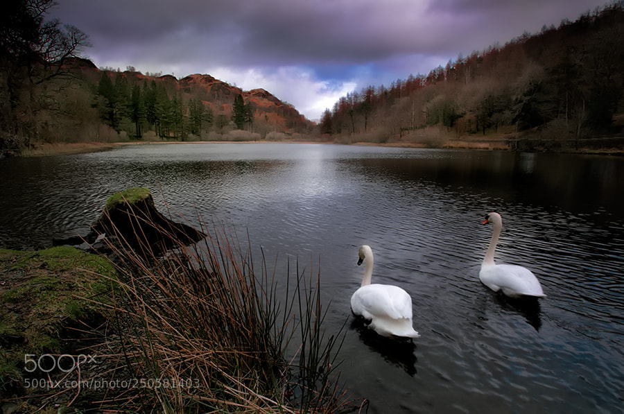 Canon EOS 5D Mark II sample photo. Lake district cumbria uk. photography