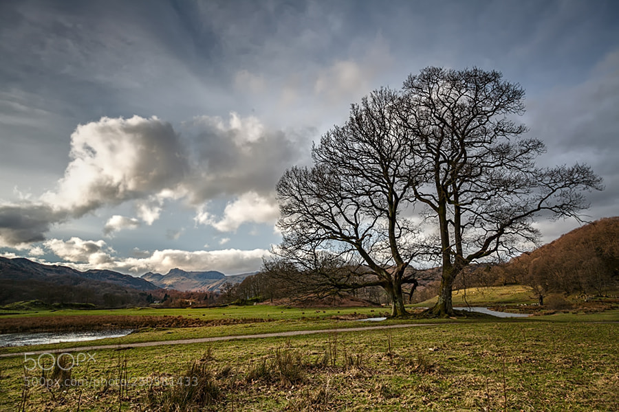Canon EOS 5D Mark II sample photo. Lake district cumbria uk. photography