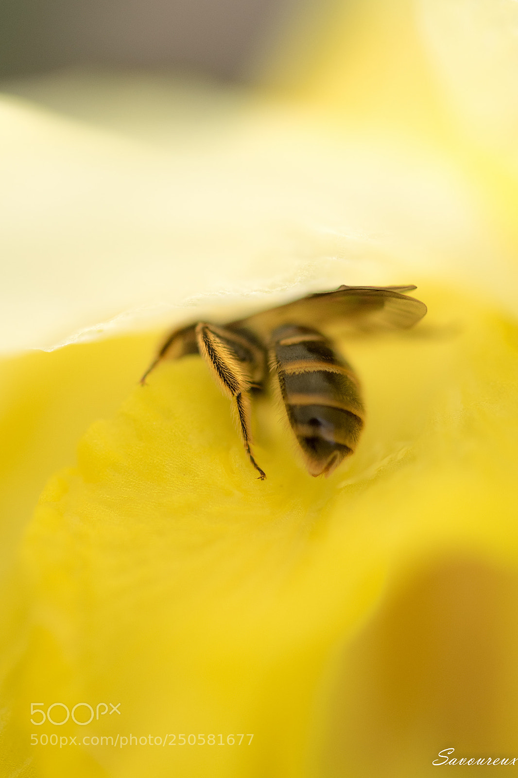 Nikon D5500 sample photo. Explorer photography