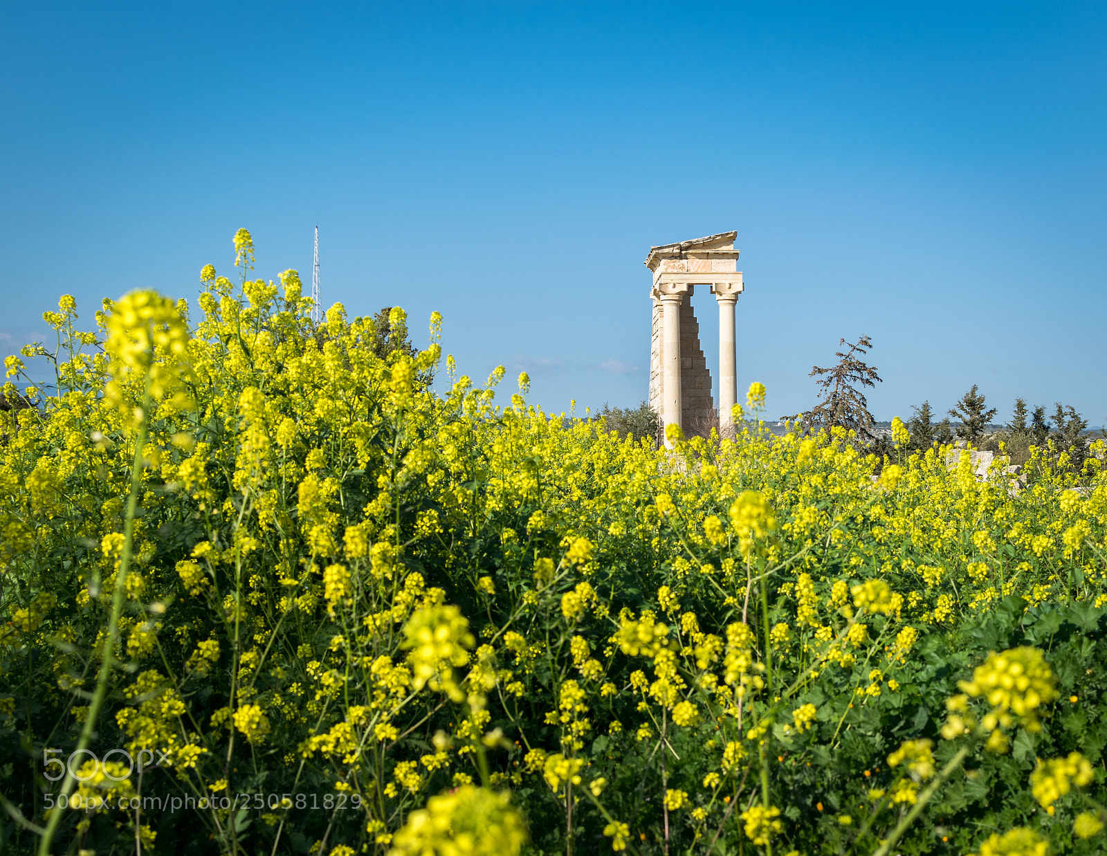 Nikon D5300 sample photo. Sanctuary of apollo hylates! photography