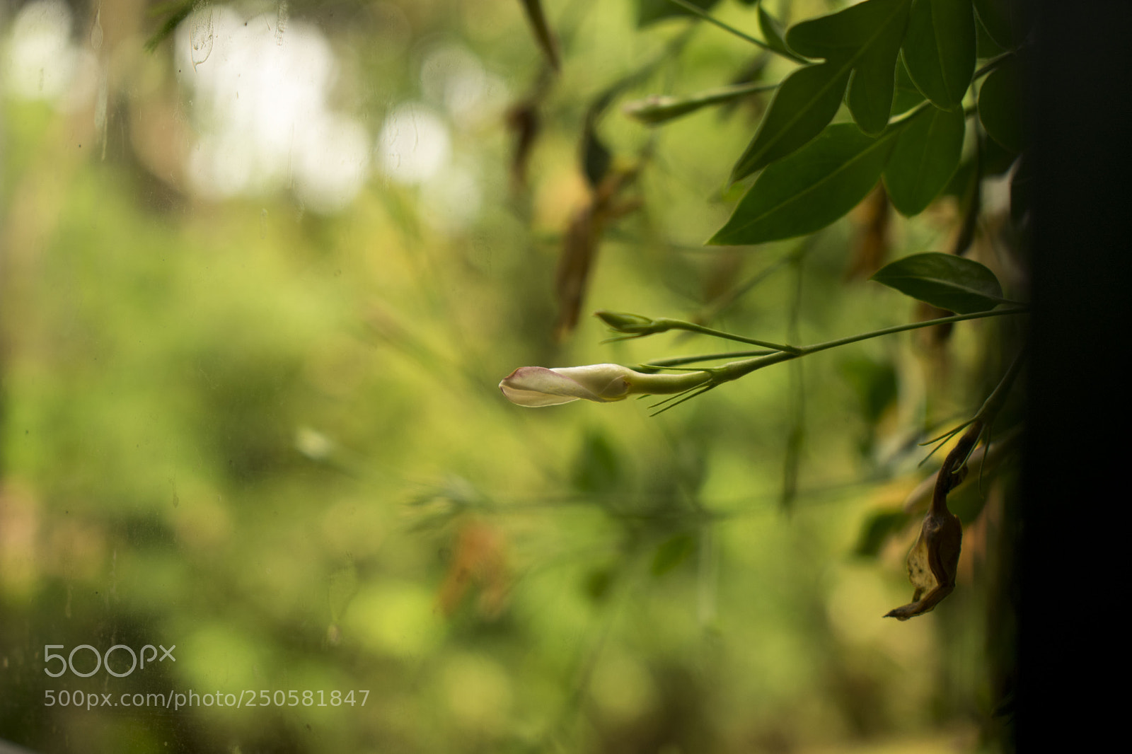 Nikon D3400 sample photo. Life photography