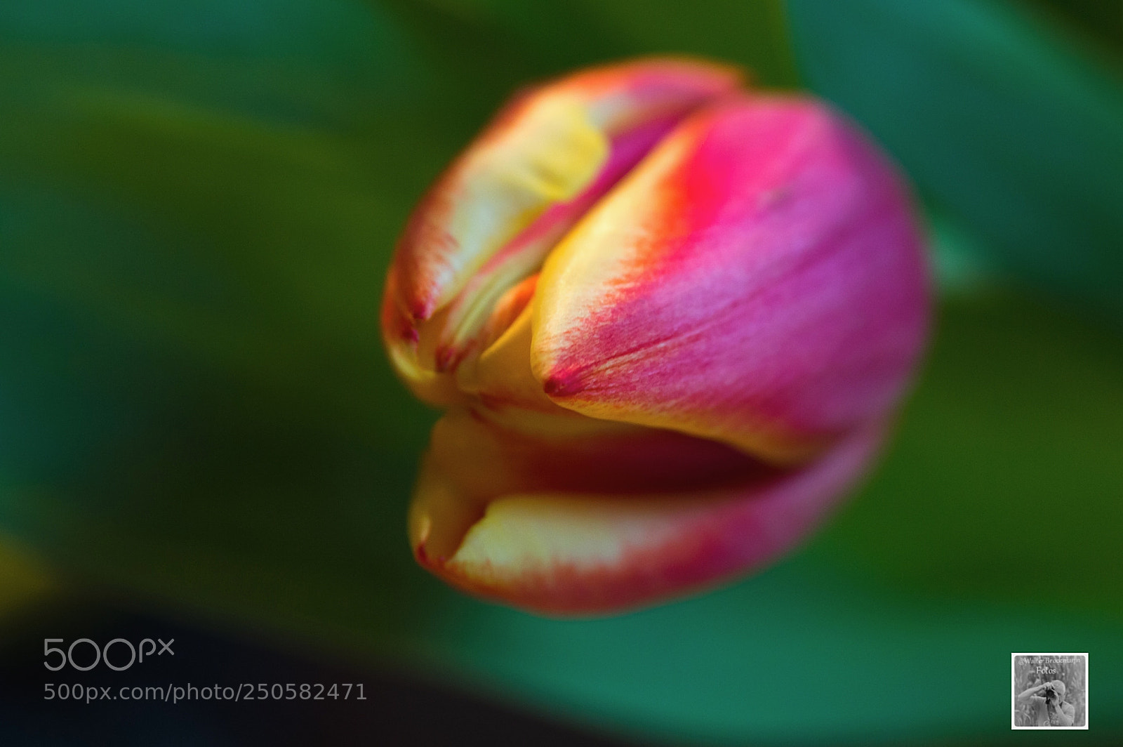 Nikon D3200 sample photo. Nikon af nikkor 28 photography