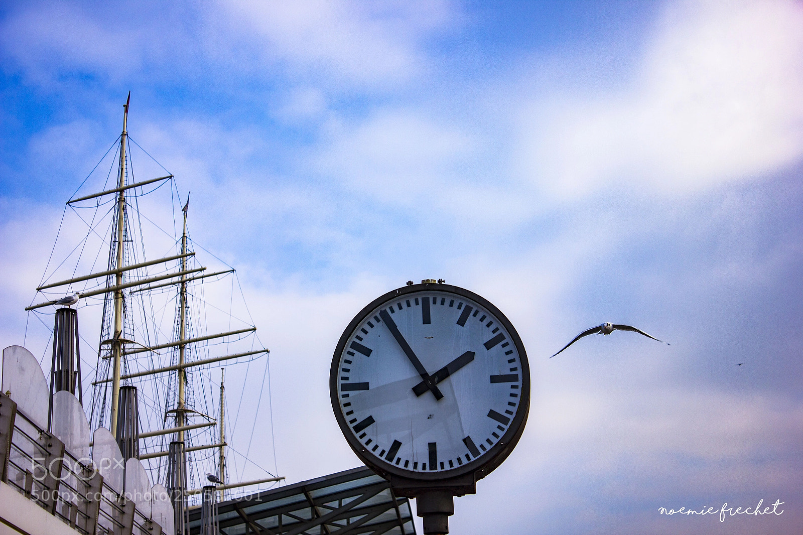Canon EOS 550D (EOS Rebel T2i / EOS Kiss X4) sample photo. Seagull, clock and ship photography