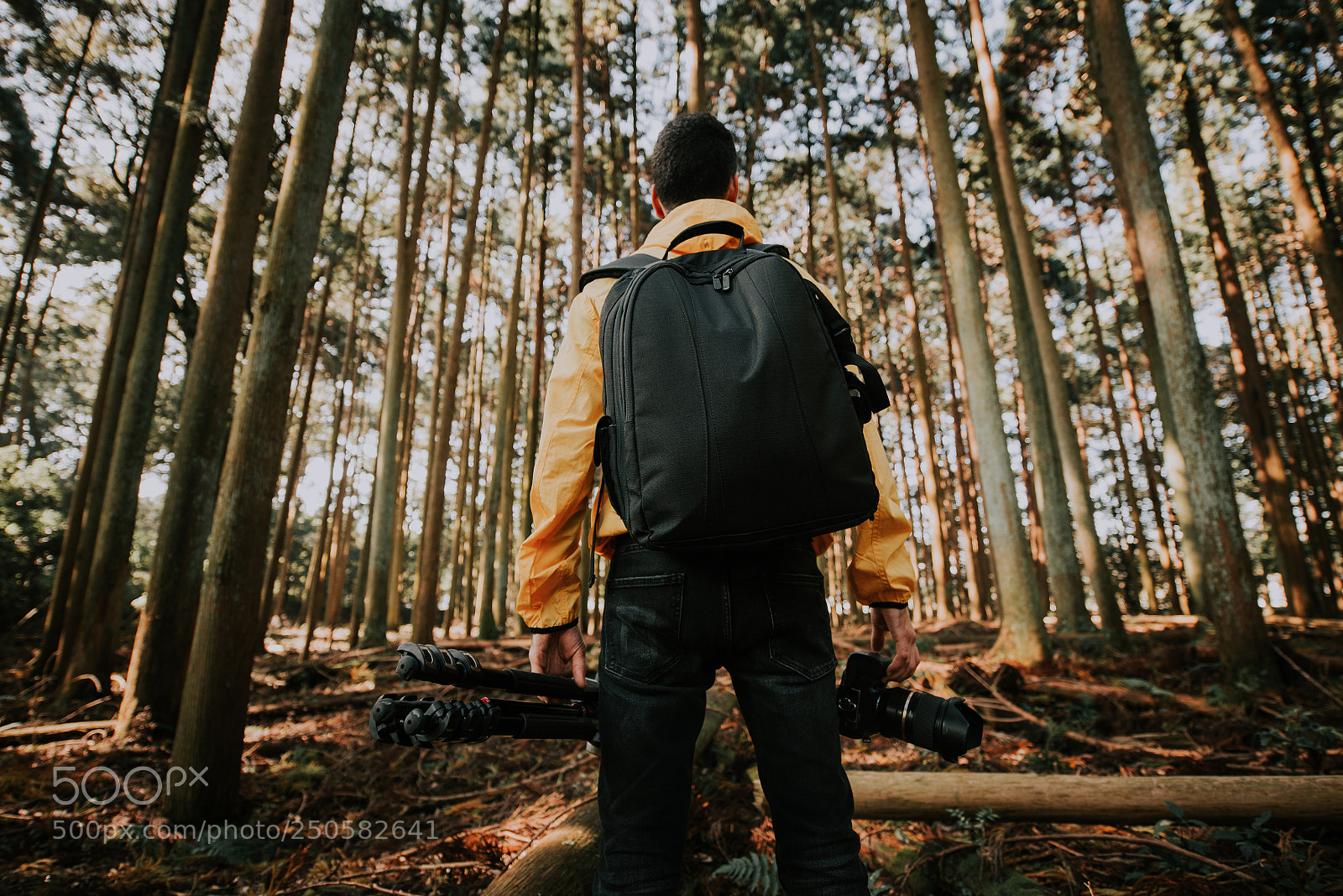 Nikon D610 sample photo. Traveler man discovering new photography