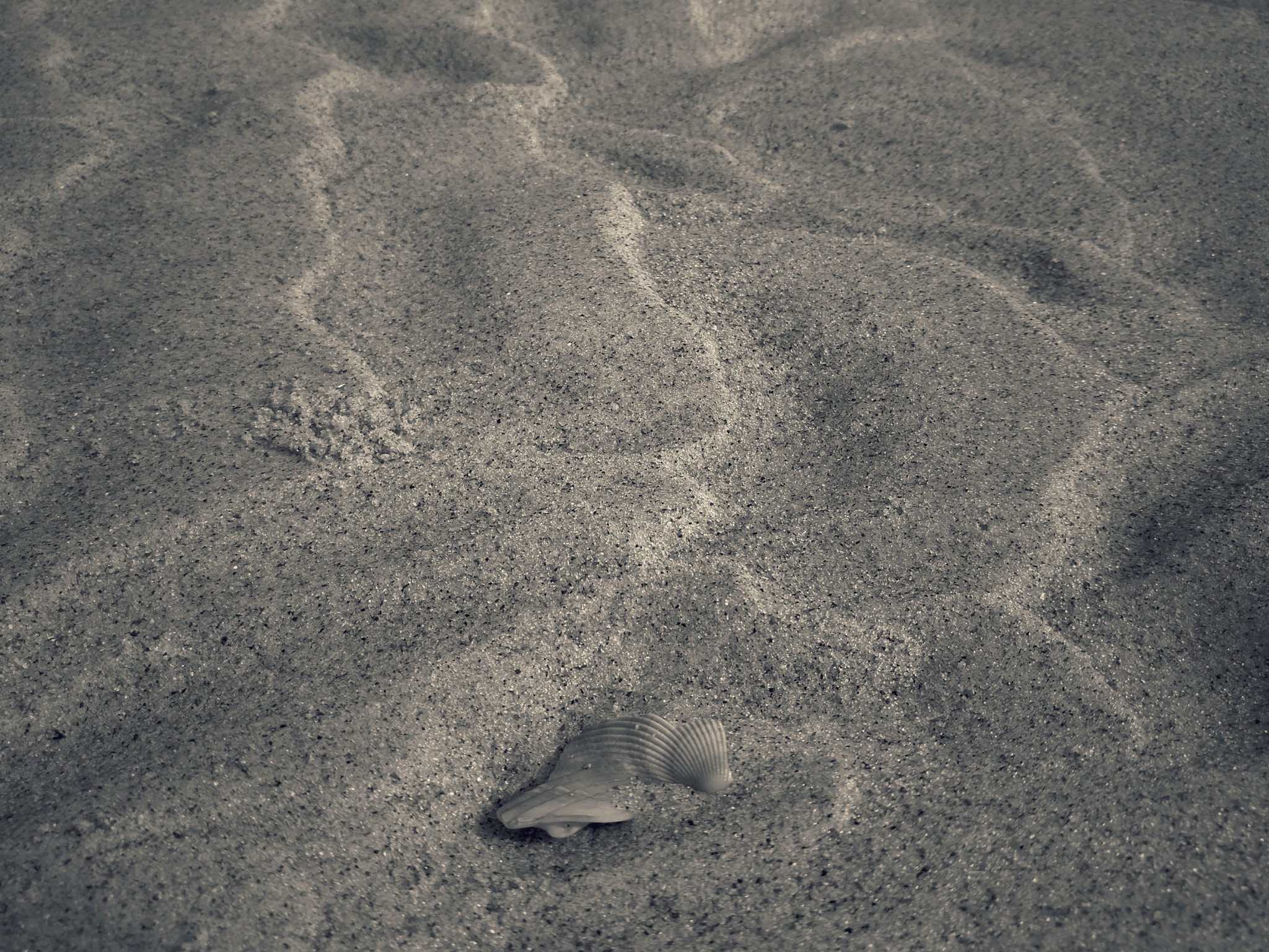 OnePlus A3000 sample photo. Fragment photography