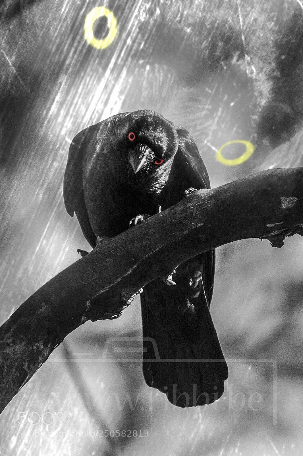 Nikon D7100 sample photo. Watching you photography