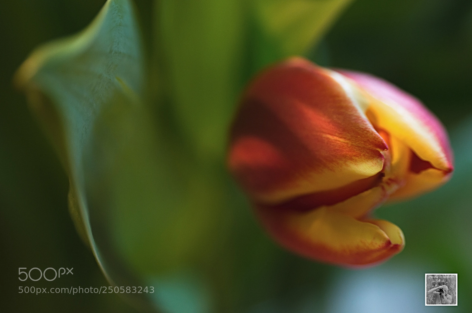 Nikon D3200 sample photo. Nikon - nikkor 28 photography