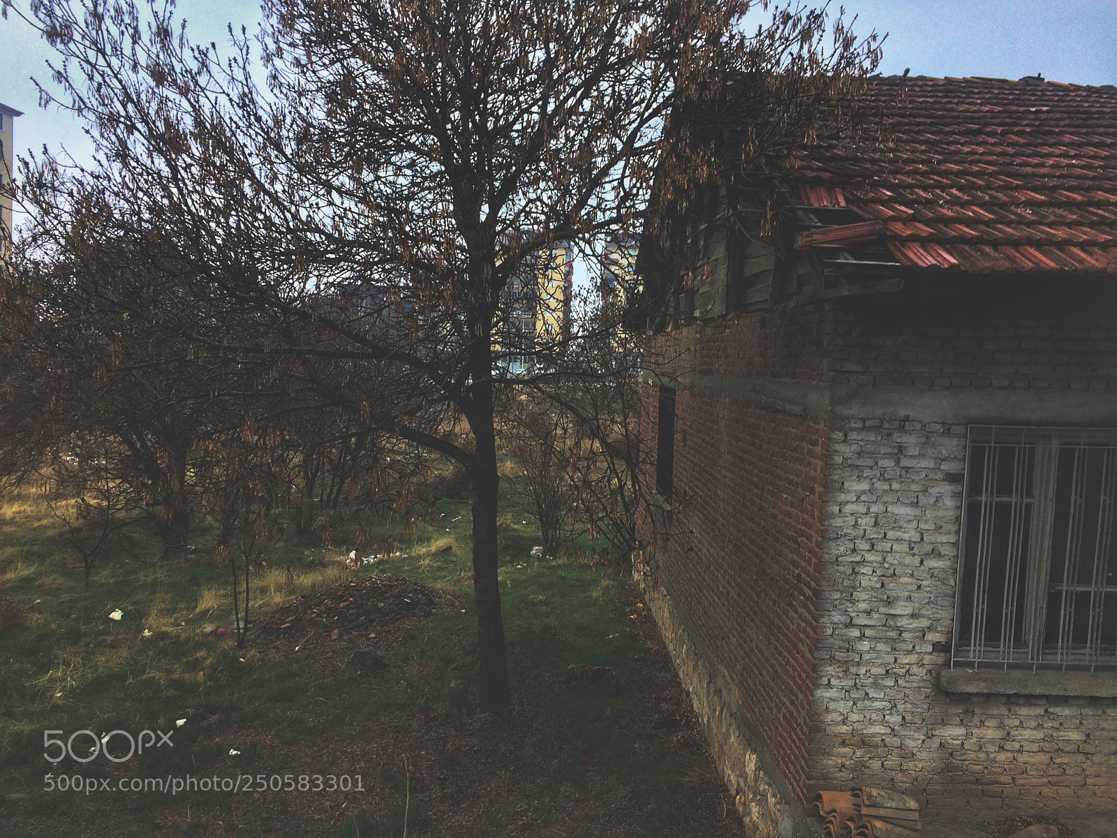 Apple iPhone 5s sample photo. Img e photography