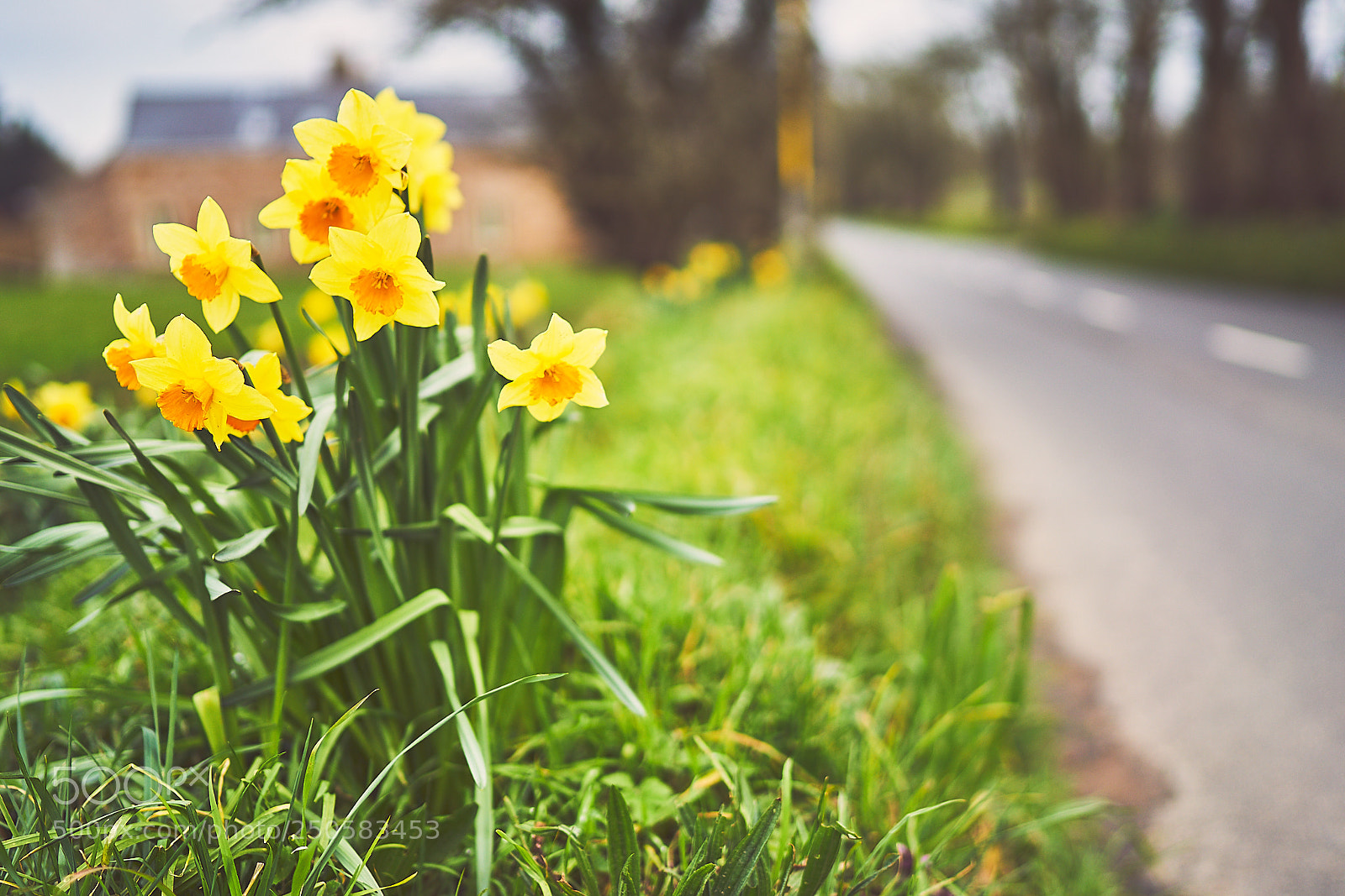 Sony a7R II sample photo. Day eighty three photography