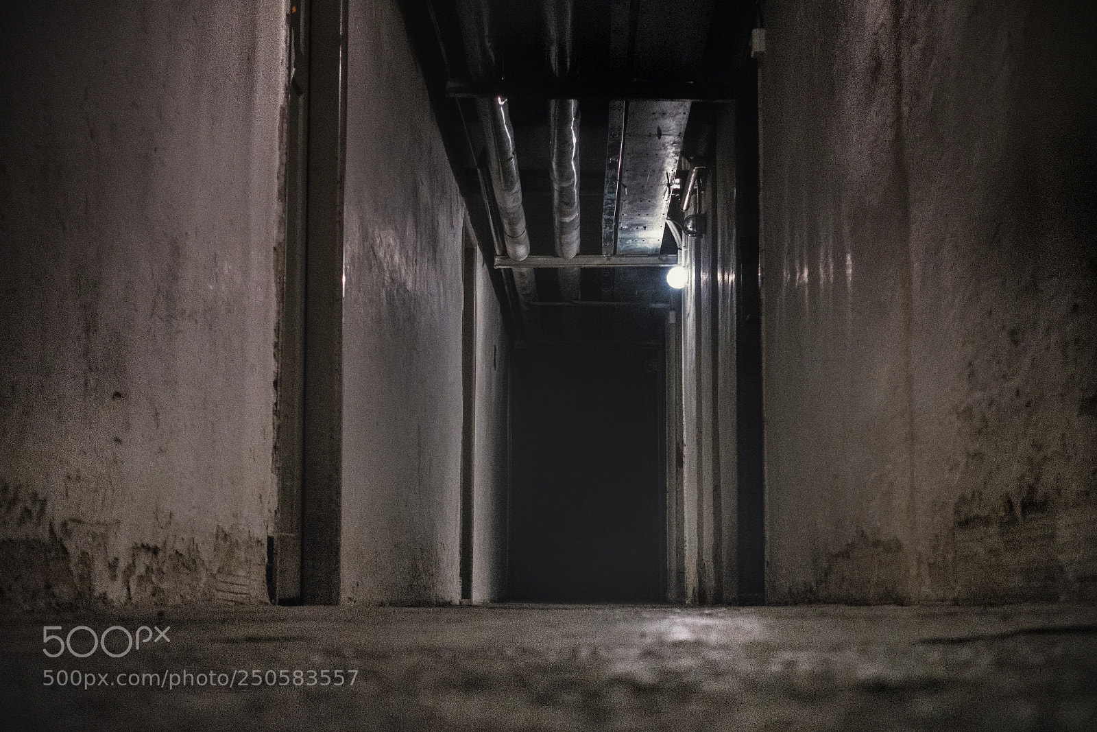 Sony DSC-RX100M5 sample photo. Scary ovo photography