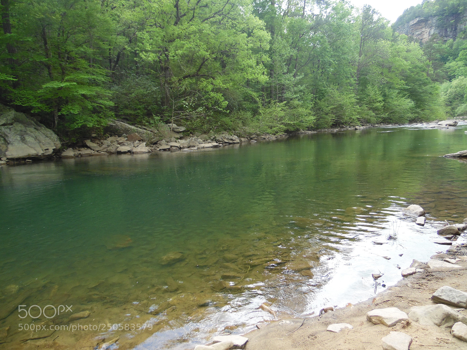 Samsung WB1100F/WB1101F/WB1102F sample photo. Nature photograph photography