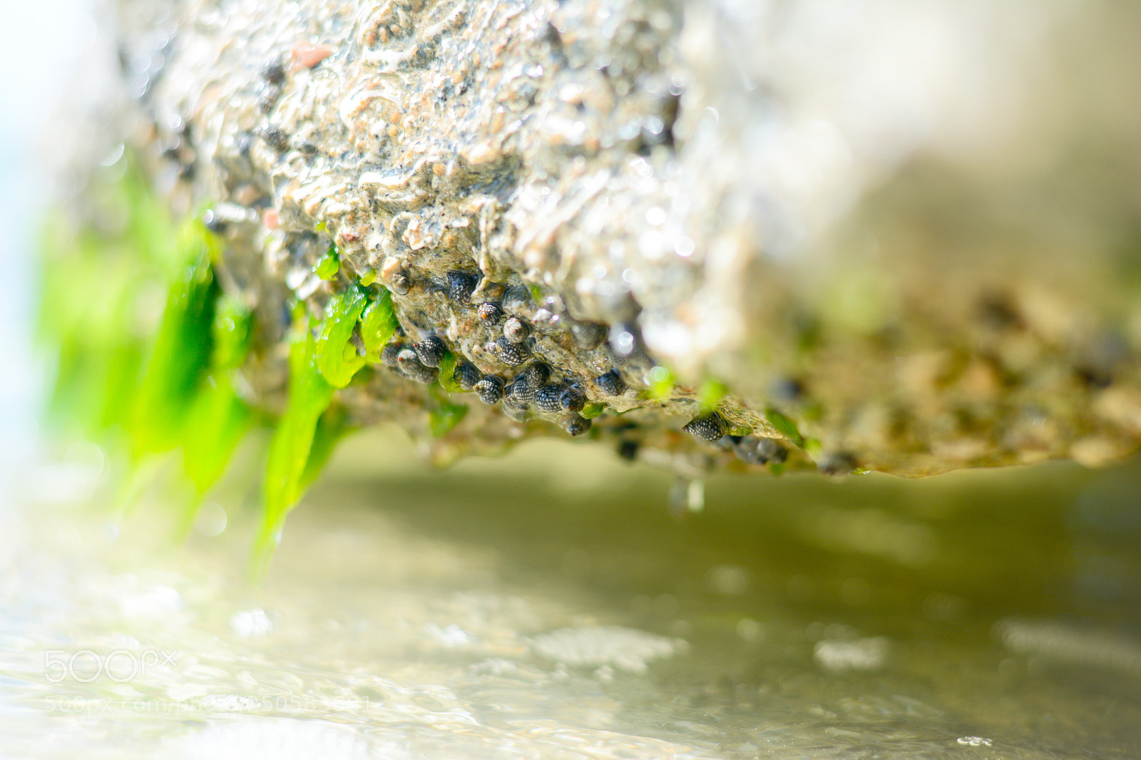 Nikon D7100 sample photo. E photography