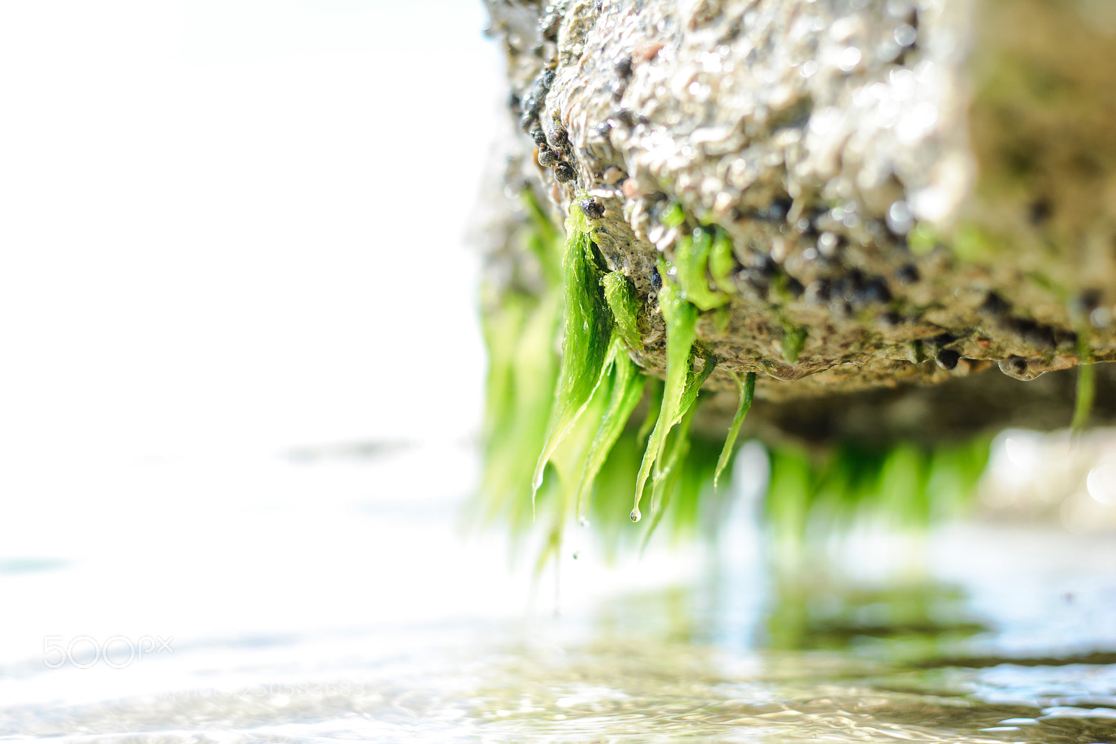 Nikon D7100 sample photo. E photography