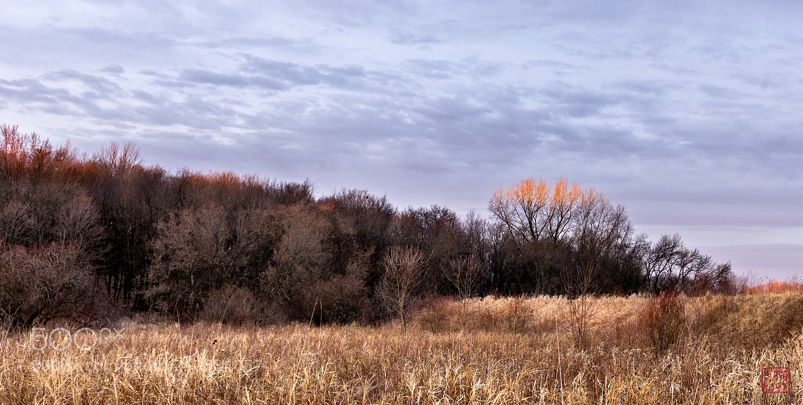 Sony a7 sample photo. Highlights photography