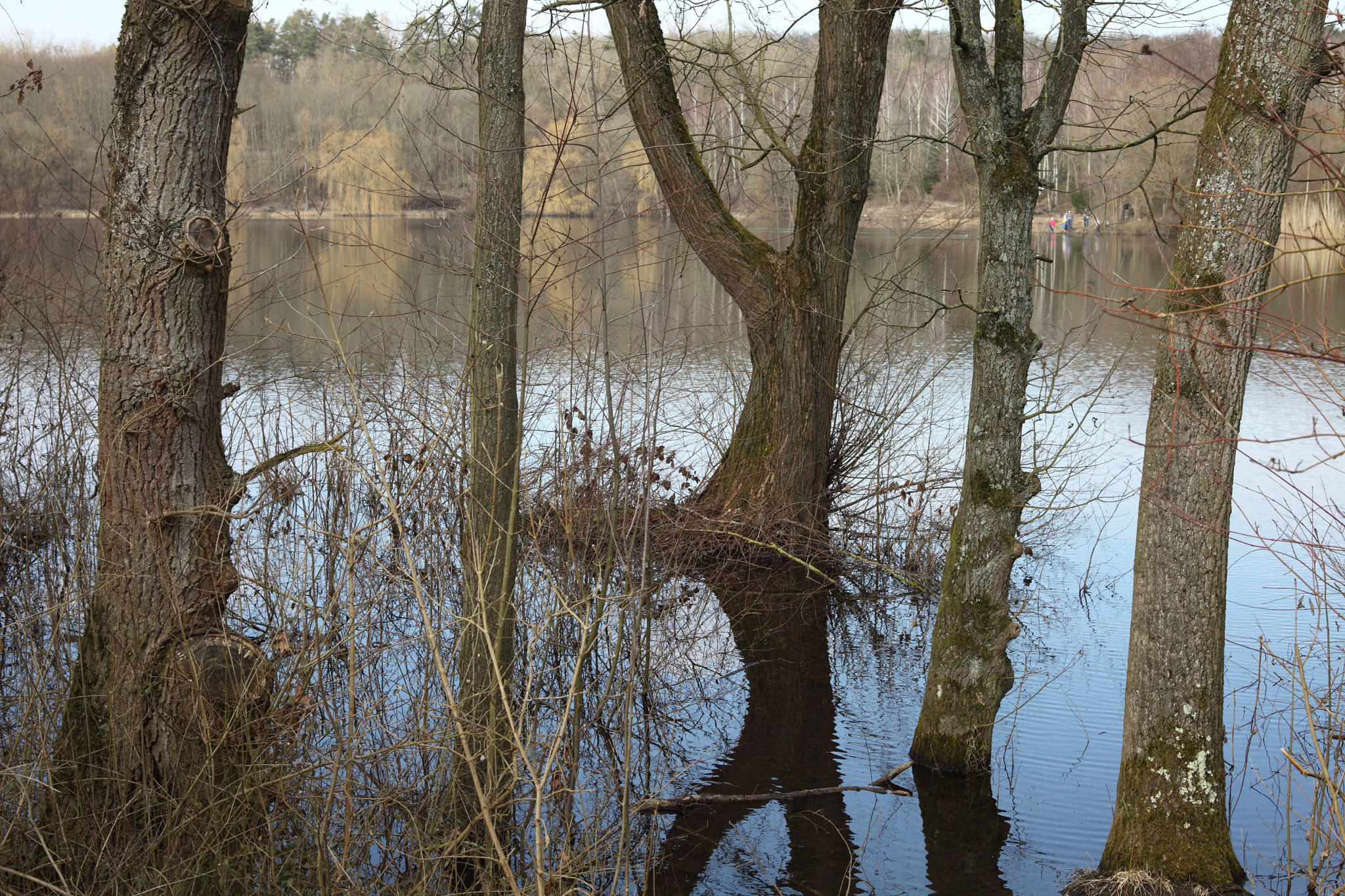 Canon EF 28-80mm f/3.5-5.6 sample photo. Flooding photography