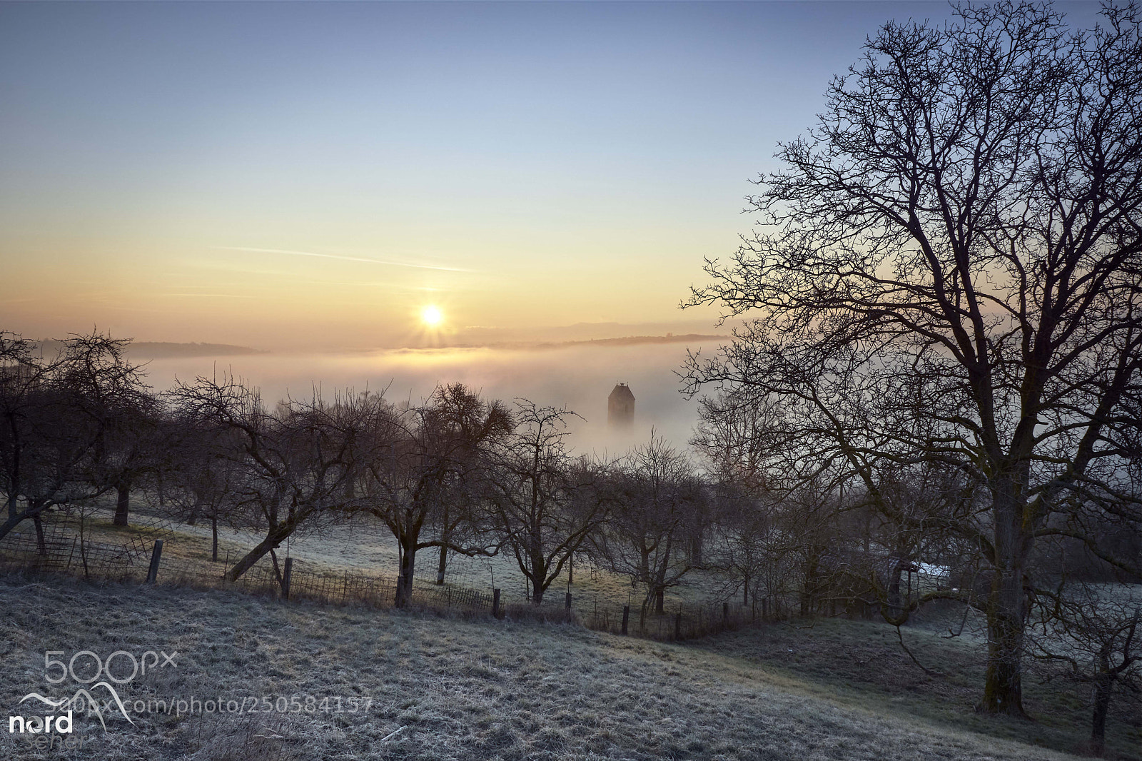 Sony ILCA-77M2 sample photo. Neckartailfingen mit morgennebel ber photography