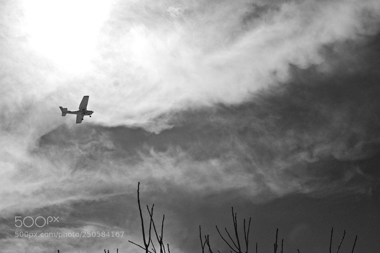 Nikon D3100 sample photo. Nebulous photography