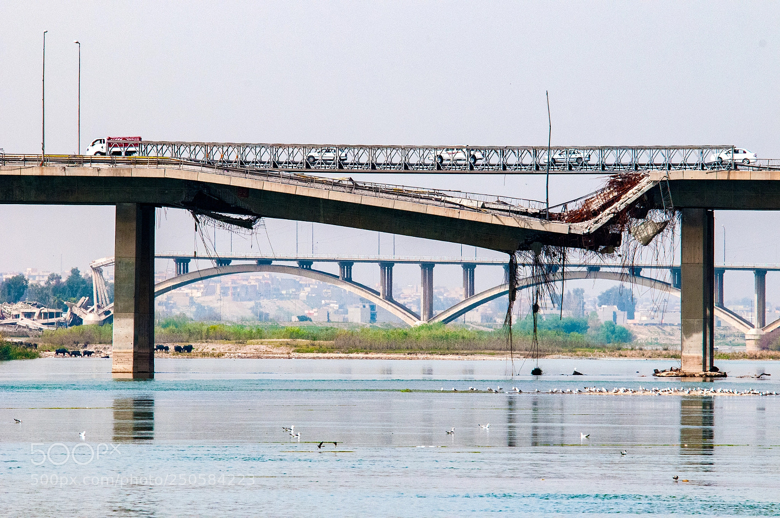 Nikon D300 sample photo. Bridges over the river photography