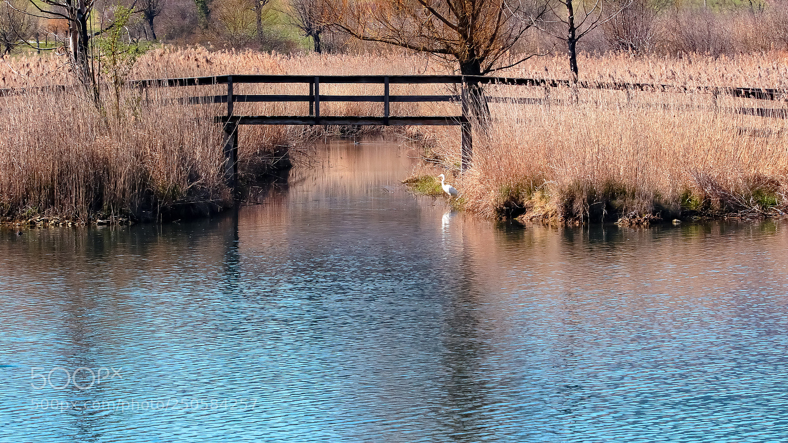Canon EOS 7D Mark II sample photo. Untitled photography